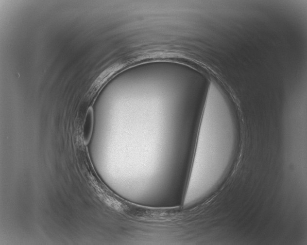 X0000086061273200703230937