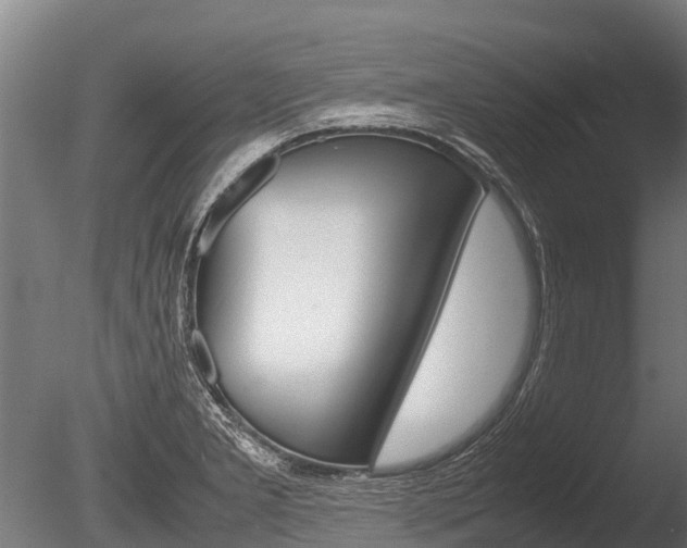 X0000086061277200703230937