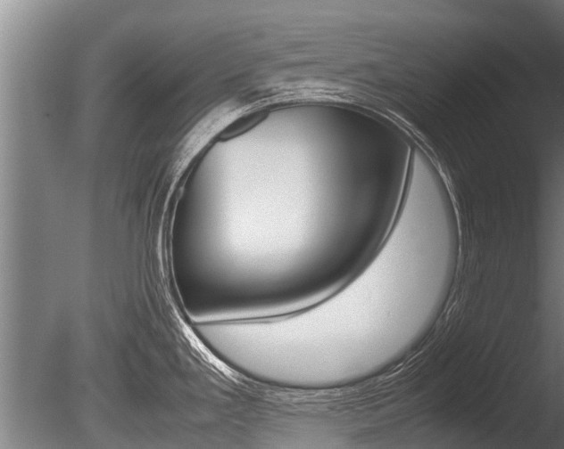 X0000086061293200703230937