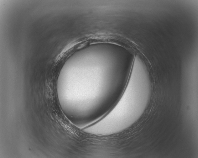 X0000086061304200703230936