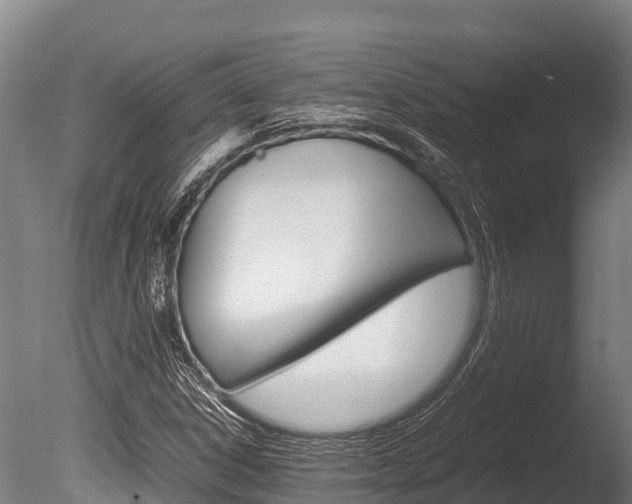 X0000086061306200703230936