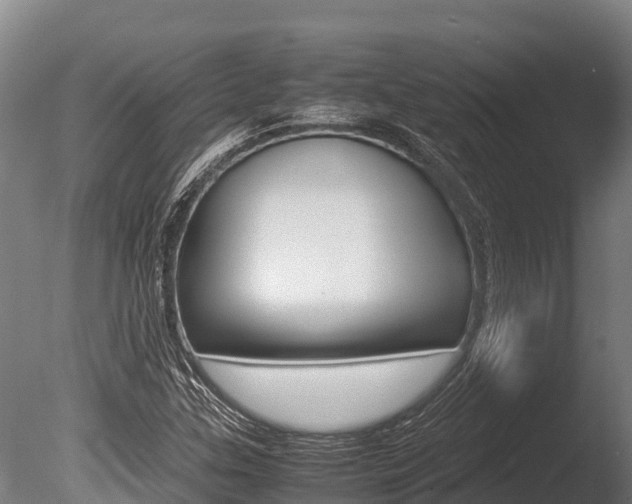 X0000086061307200703230936