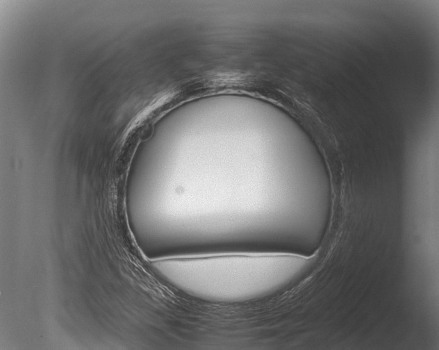 X0000086061309200703230936