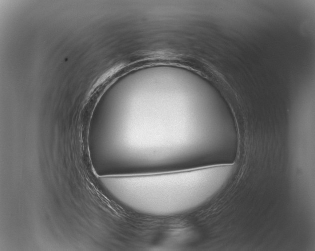 X0000086061315200703230936