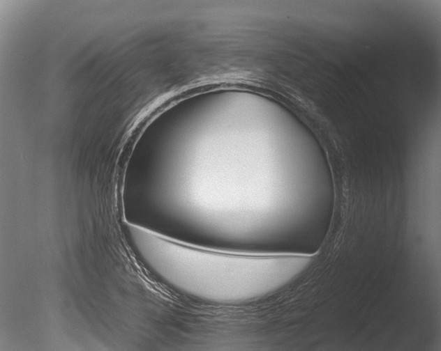 X0000086061316200703230936