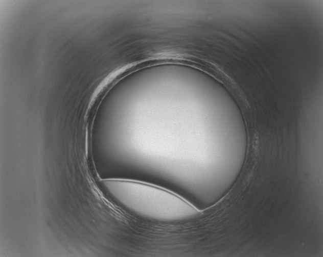 X0000086061323200703230937