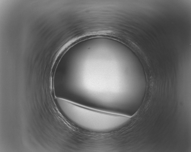 X0000086061324200703230937