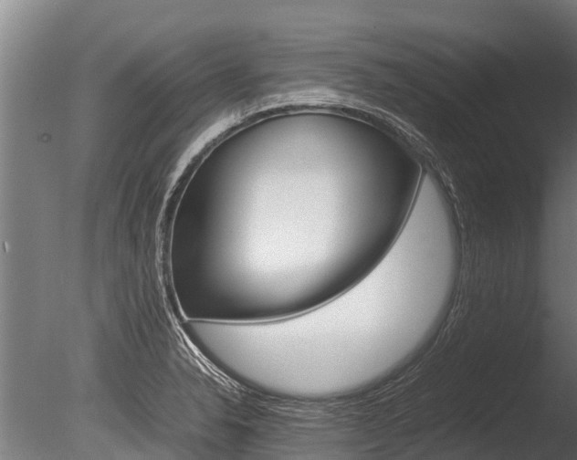 X0000086061326200703230937