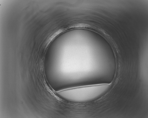 X0000086061329200703230937