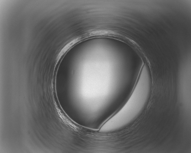 X0000086061330200703230937