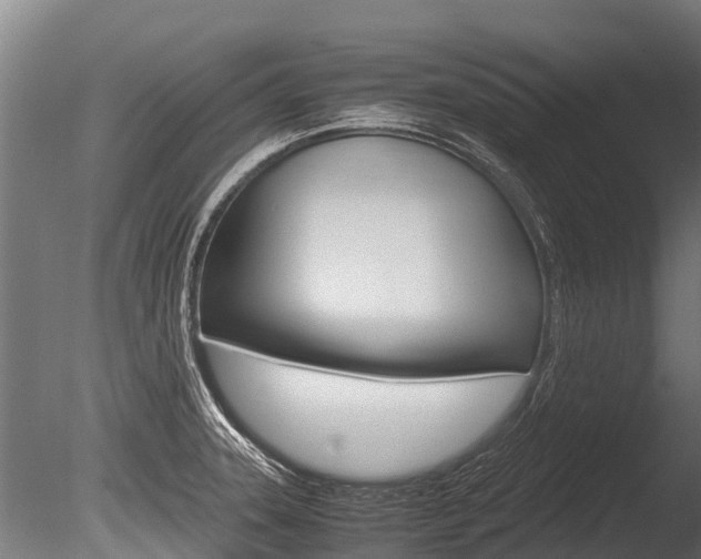 X0000086061331200703230937