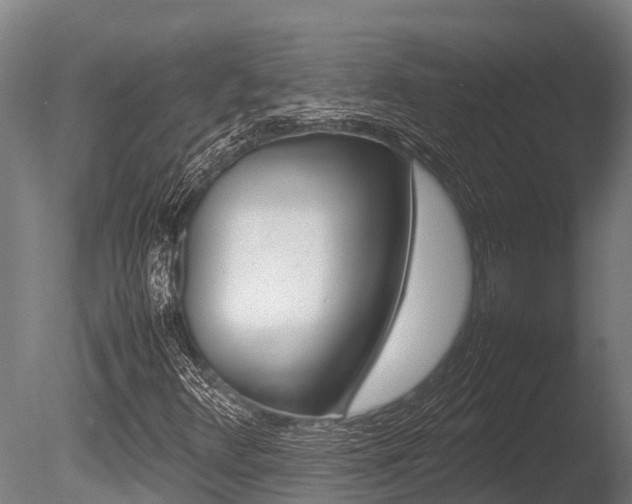 X0000086061348200703230936