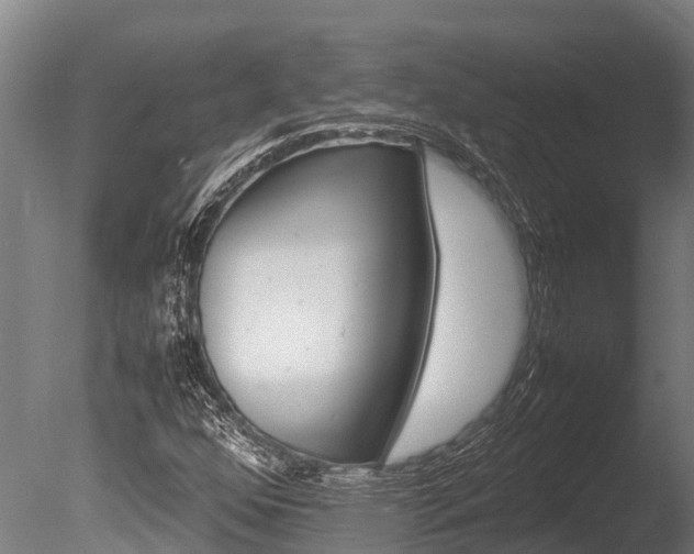 X0000086061352200703230936