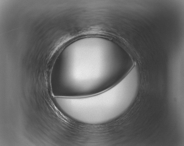X0000086061356200703230936