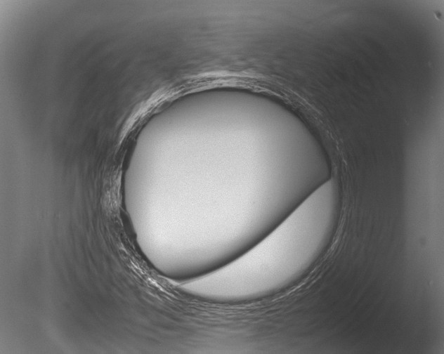 X0000086061357200703230936