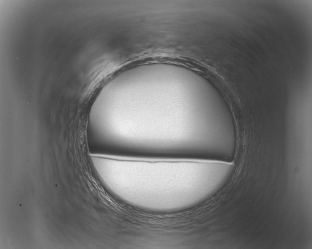 X0000086061359200703230936