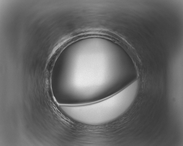 X0000086061360200703230936