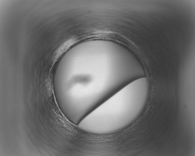 X0000086061362200703230936