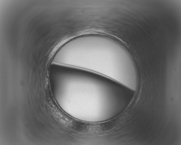 X0000086061363200703230936