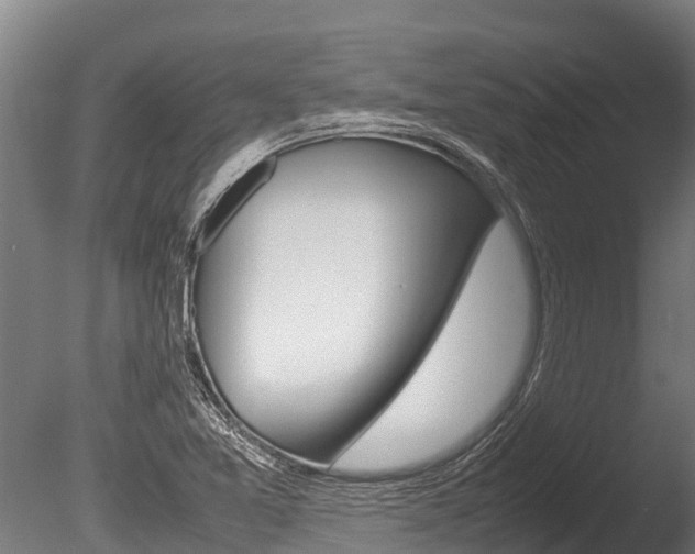 X0000086061365200703230936