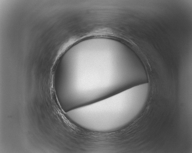 X0000086061366200703230936