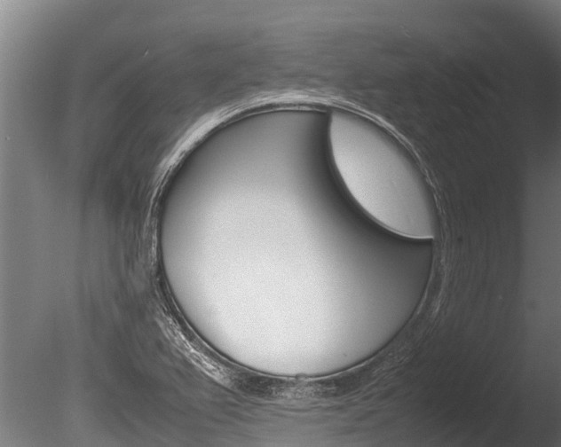 X0000086061367200703230936
