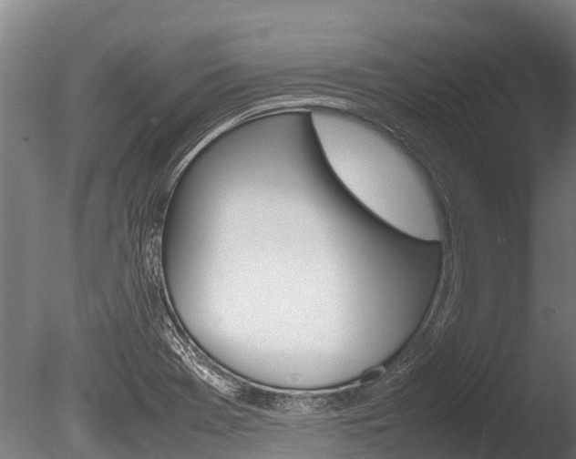 X0000086061369200703230936
