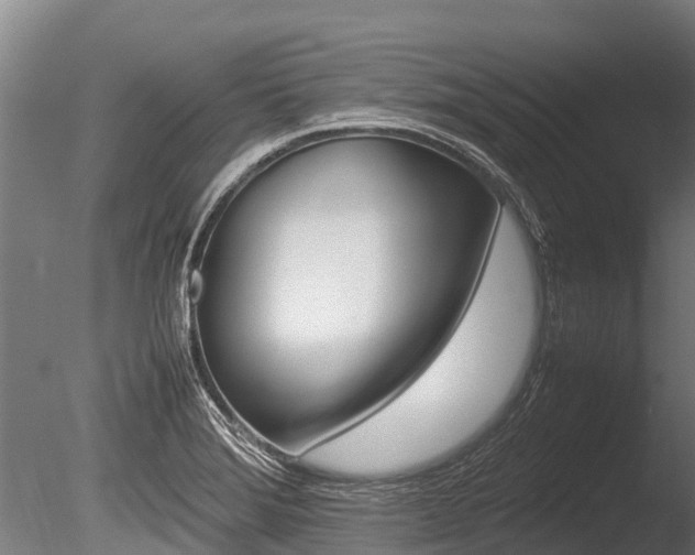 X0000086061372200703230936