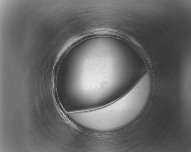 X0000086061376200703230936