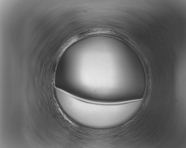 X0000086061377200703230936
