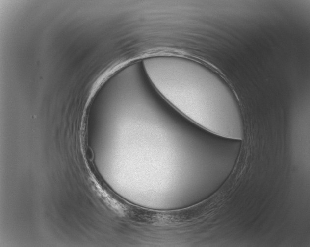 X0000086061379200703230935