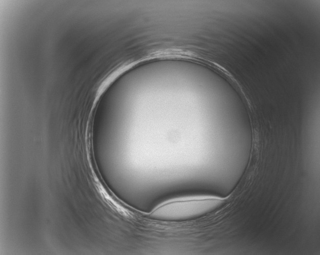 X0000086061387200703230935