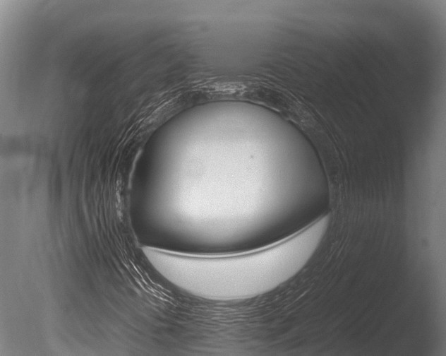 X0000086061394200703230934