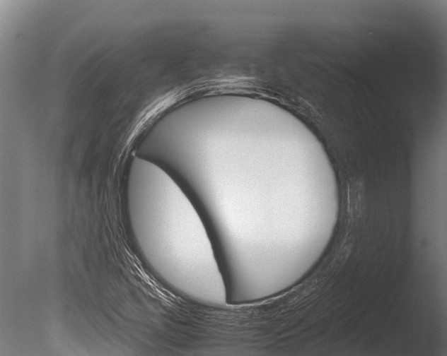 X0000086061405200703230935