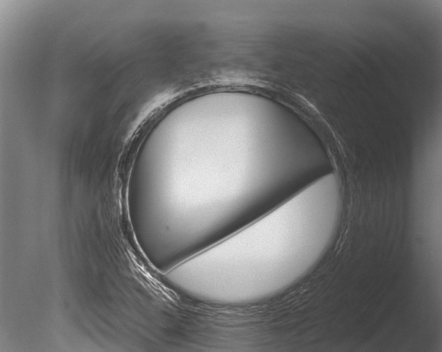 X0000086061408200703230935