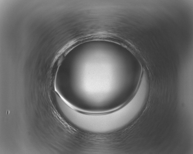 X0000086061410200703230935