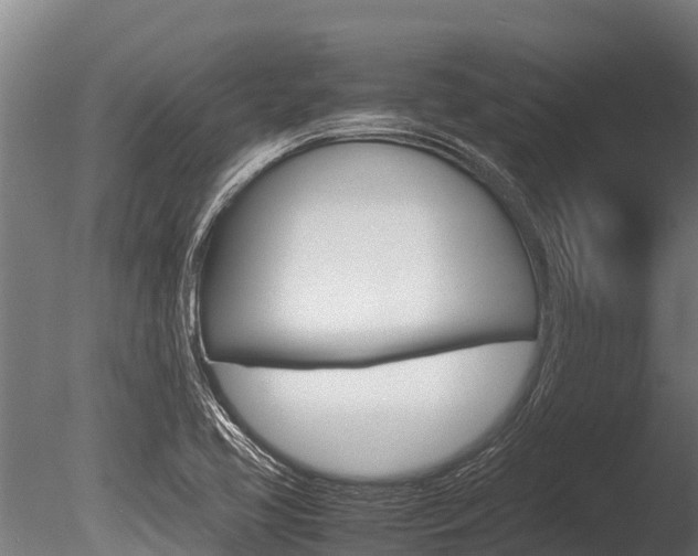 X0000086061413200703230935