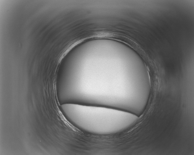 X0000086061417200703230935