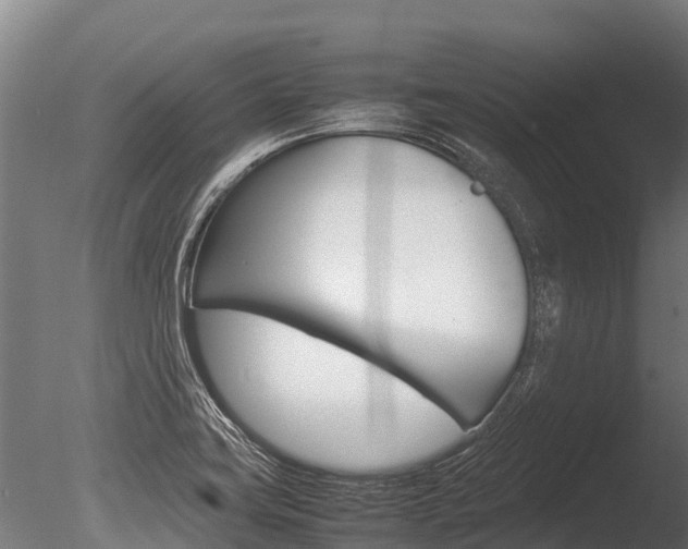 X0000086061419200703230935