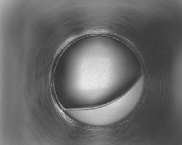 X0000086061422200703230935