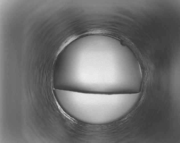 X0000086061425200703230935