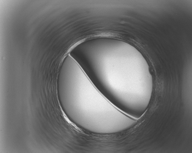 X0000086061433200703230935