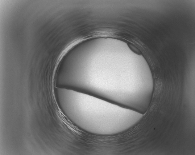 X0000086061435200703230935