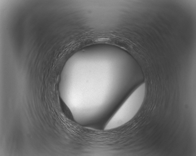 X0000086061441200703230934