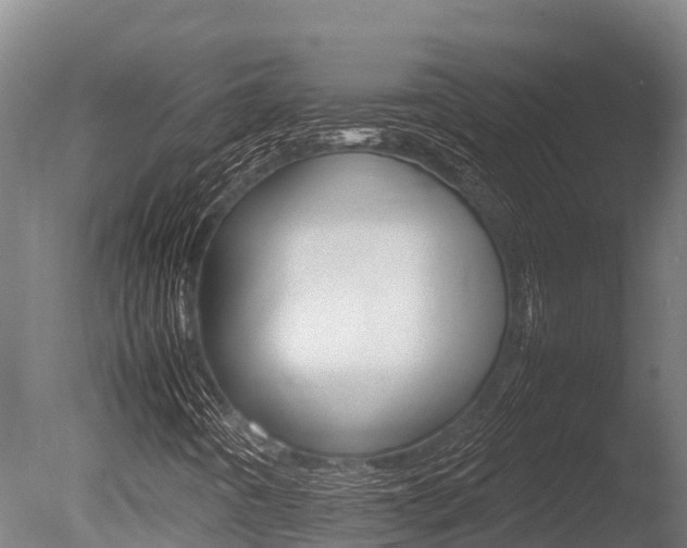X0000086061442200703230934