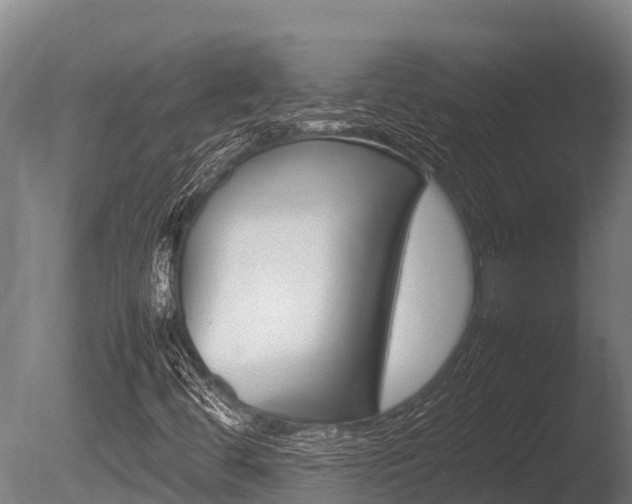 X0000086061444200703230934