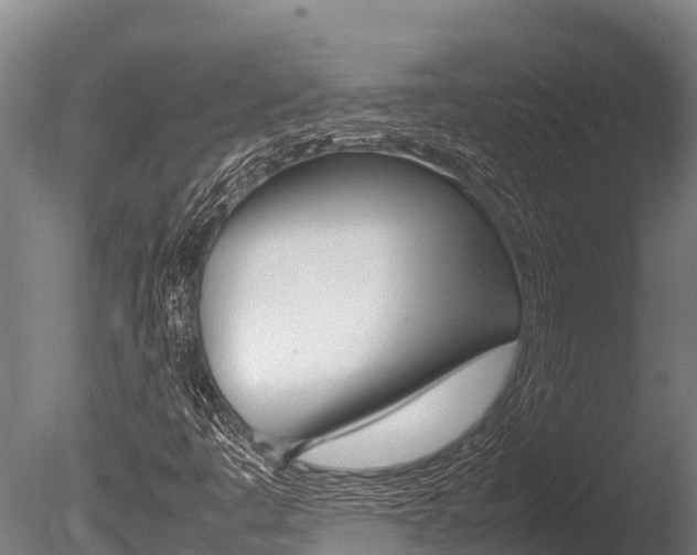 X0000086061445200703230934