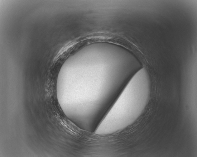 X0000086061448200703230934