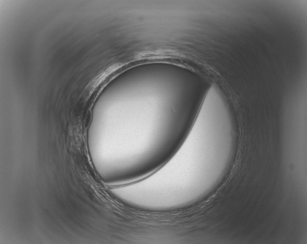 X0000086061457200703230934