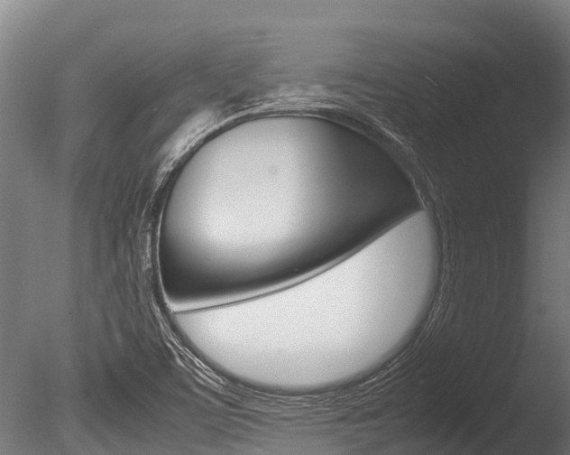 X0000086061459200703230934